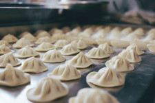 20+ Year Frozen Food Mfg.-Strong Growth Upside