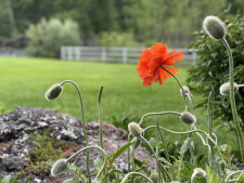 Established Landscaping Business in Idaho Resort Community